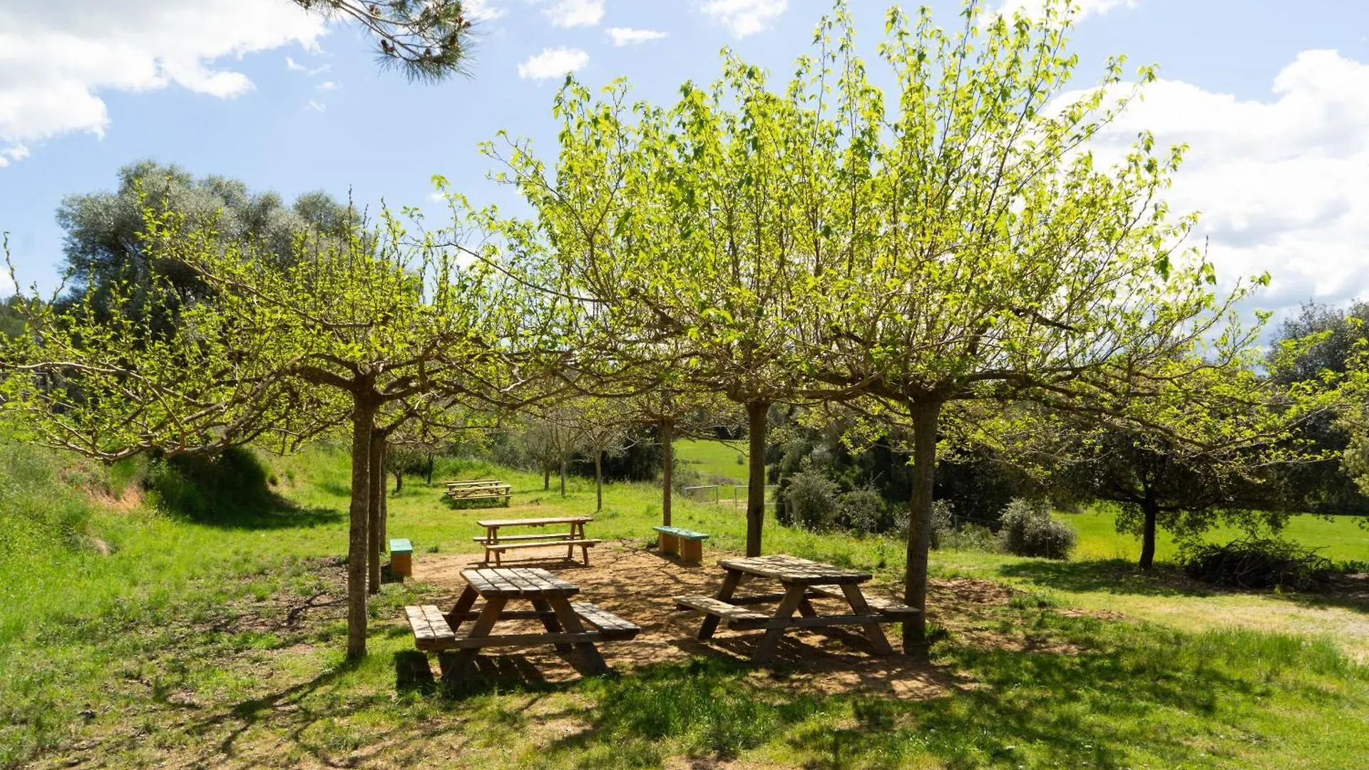 Casa De Colonies, El Ginebro Villa Vilopriu Farm stay